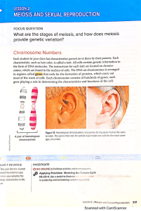 9.2- Meiosis and Sexual reproduction Textbook