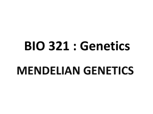 4- mendelian genetics