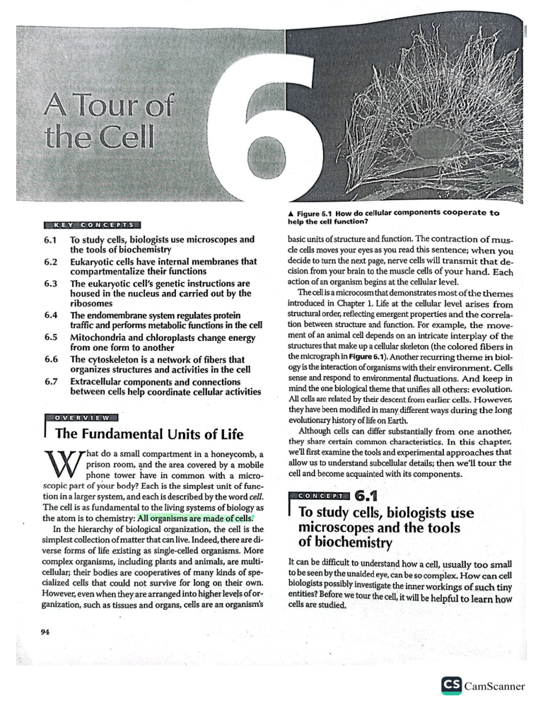 Chapter 6 A Tour Of The Cell (1)