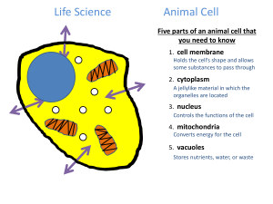 Cells (1)