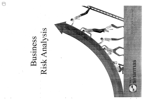 Business Risk Analysis 1