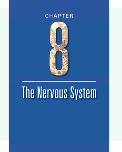 4-NERVOUS-SYSTEM