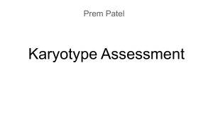  Karyotype Assessment