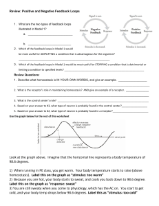 3.Feedback Loop Review Worksheet