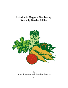 Guide to organic gardening