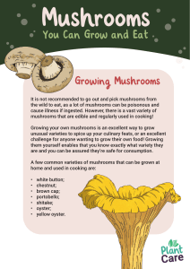 mushrooms you can grow and eat