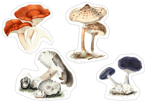 mushroom cut outs