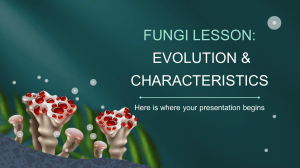 fungi-lesson-evolution-characteristics