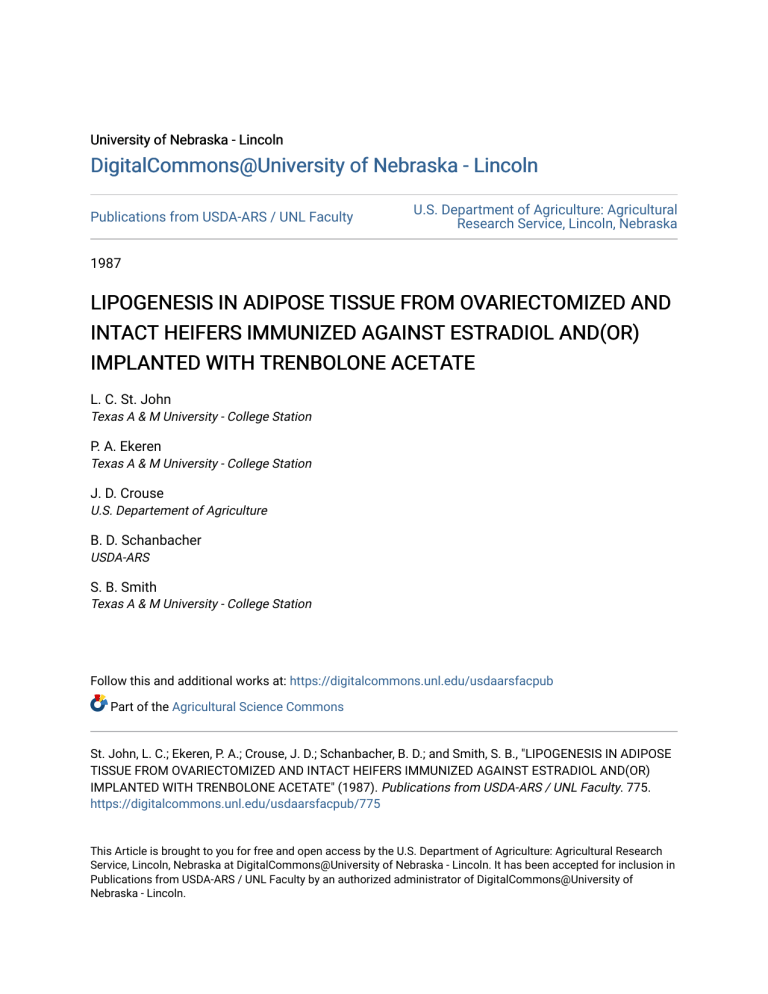 Lipogenesis In Heifers Estradiol Trenbolone Study