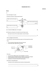 Test y9 - 27-09