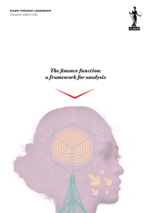 Finance Function Analysis: A Framework for Professionals