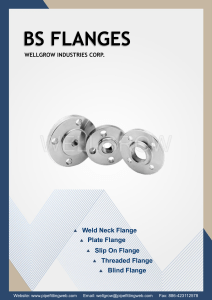 BS4504-Flanges