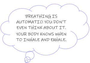 FUN FACTS ABOUT RESPIRATION