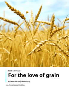 Solutions for the grain industry