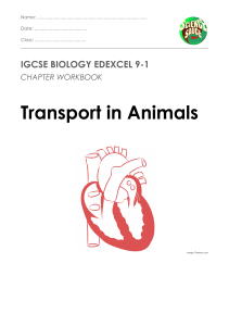 IGCSE Biology: Transport in Animals Workbook