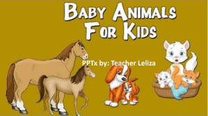 ANIMALS mother and babies interactive activity by Teacher Leliza