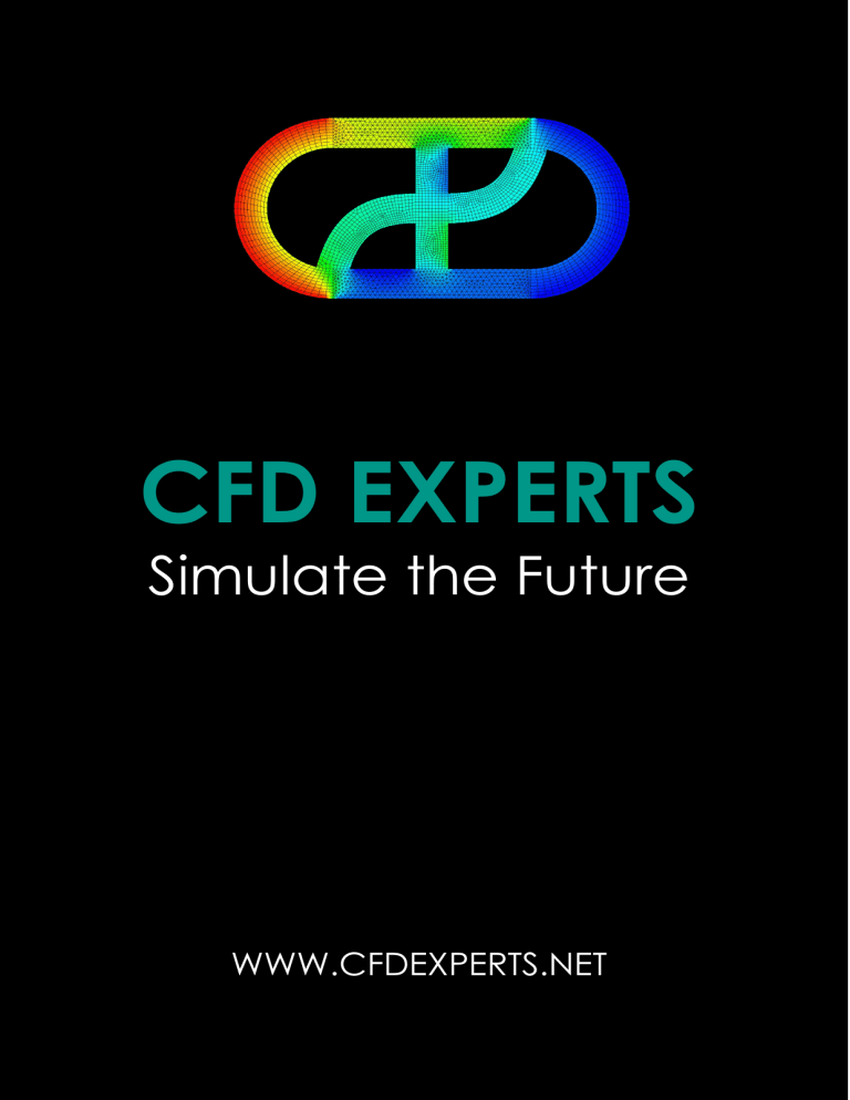 Fluent Beta Features Manual