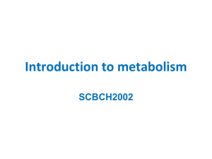 1. Introduction to metabolism lecture 2022 1slidepp