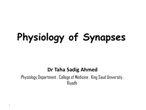L1-Physiology of Synapses