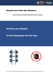 Re-Rack Weights, No Bags