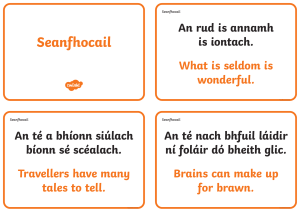 ROI2-T-019-Irish-Gaeilge-Seanfhocail-with-Translations-Display-Cards ver 4