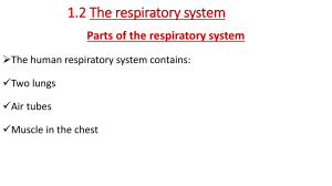 1.2 the respiratory system