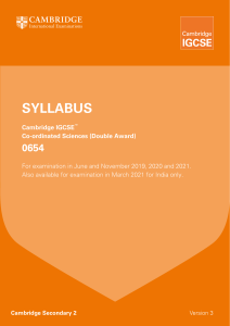329758-2019-2021-syllabus