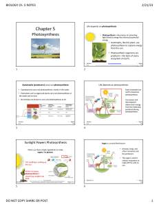 BIOLOGY CHAPTER 5 PART 1 SP23