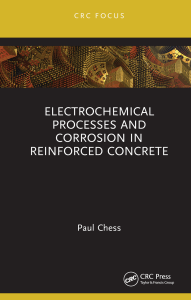 Electrochemical.Processes.
