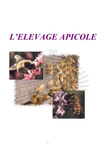 FR - L-elevage apicole - 39 pag