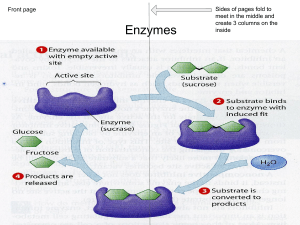 Enzyme foldable key
