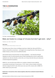 Bats are hosts to a range of viruses but dont get sick – why 