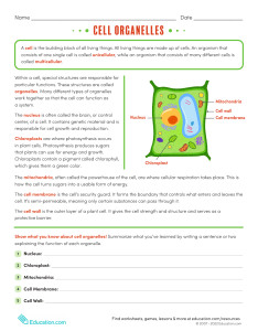 functions-of-cell-organelles