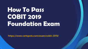 COBIT 2019 Certification Dumps Questions