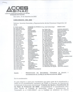 COES-SINAC D-1302-2005 del 19.12.2005