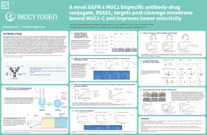 AACR-Poster 6325-EGFRxMUC1 2023 v2