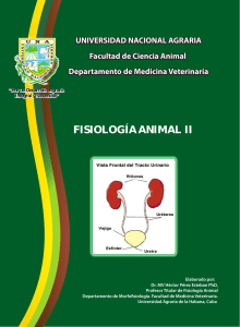 1. Fisiología animal II autor Dr. MV Héctor Pérez Esteban PhD (1)