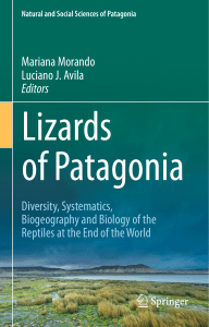 Lizzards of Patagonia 2020