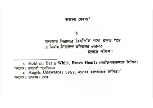 Bengali Poetry: Ajana Debota - Themes of Despair and Hope