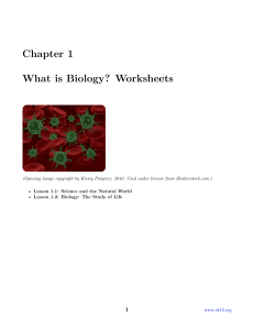 Chapter 1 CK-12 Biology Chapter 1 Worksheets