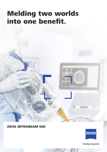 zeiss-intrabeam-600