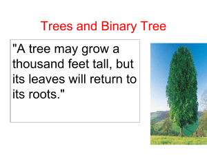 Trees and BinaryTree