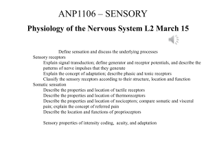 ANP1106BB 02 2023 15 sensory