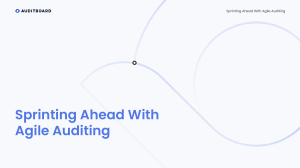 AB-WS-SprintingAheadWithAgileAuditing