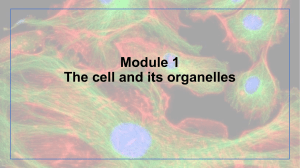 Module 1 - The cell and its organelles1 (3)