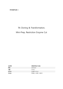 TA cloning & transformation mini-prep, restriction enzyme cut