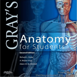 Grays-Anatomy-for-Students-2nd-Edition