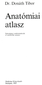 scribd.vpdfs.com dr-donath-tibor-anatomia-atlasz-pdf