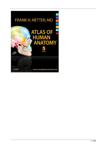 Netters Atlas Of Human Anatomy 5th Ed