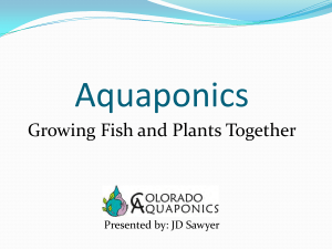 Aquaponics-Growing-Fish-and-Plants-Together